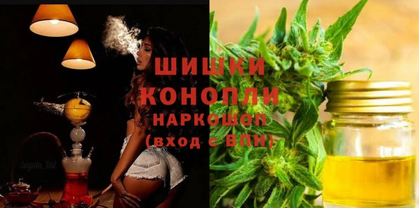 apvp Верея