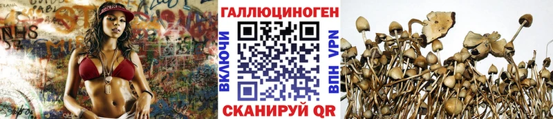 Псилоцибиновые грибы прущие грибы  Калачинск 